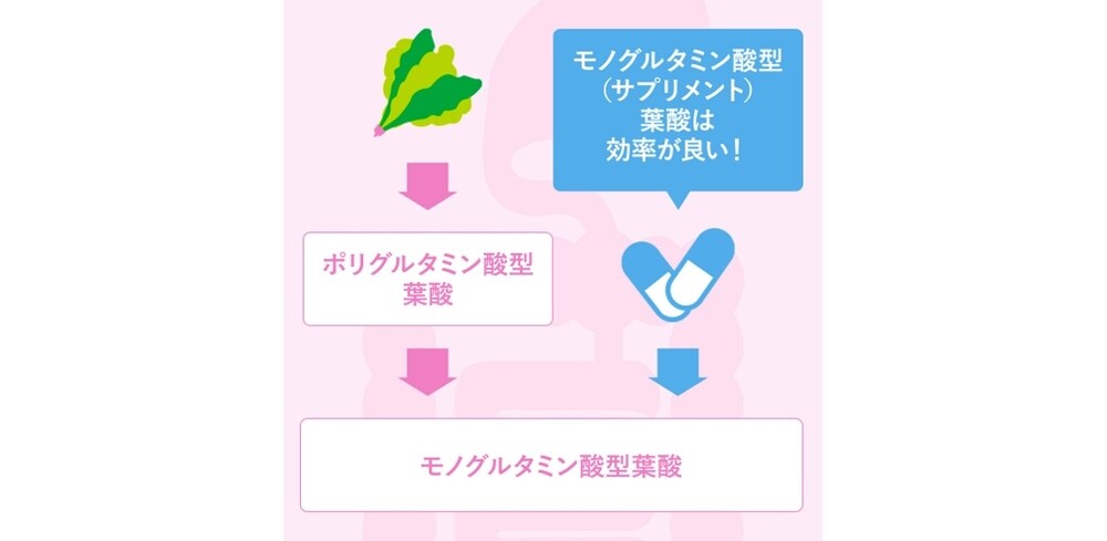 モノグルタミン酸型(サプリメント)葉酸は効率が良い!