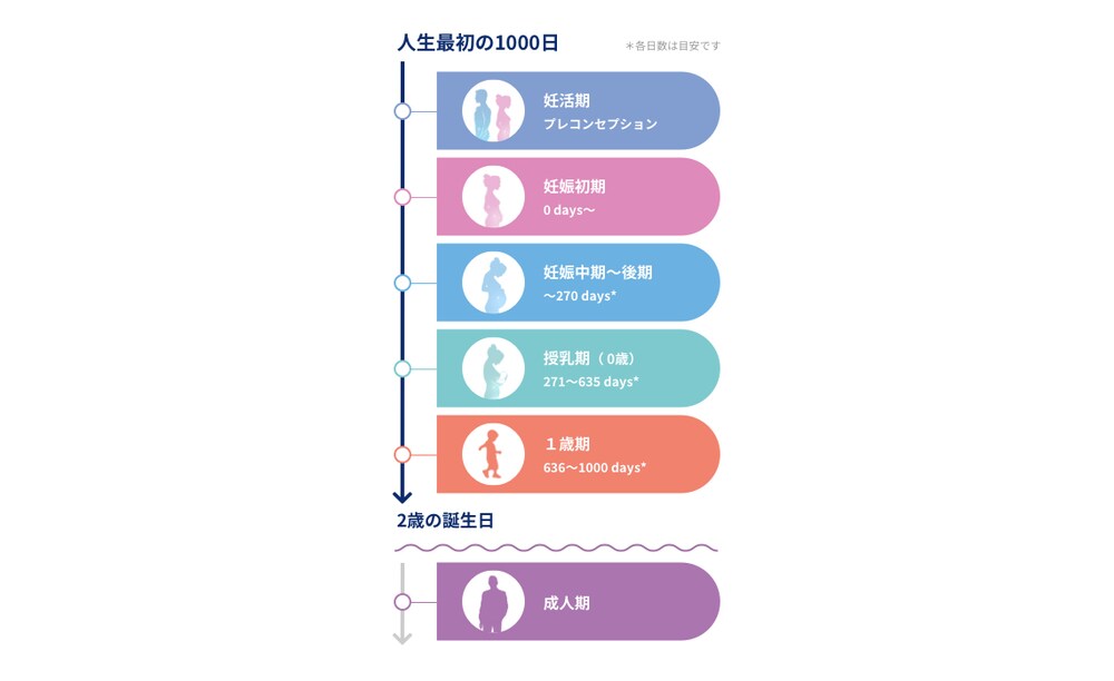 図:人生最初の1000日
