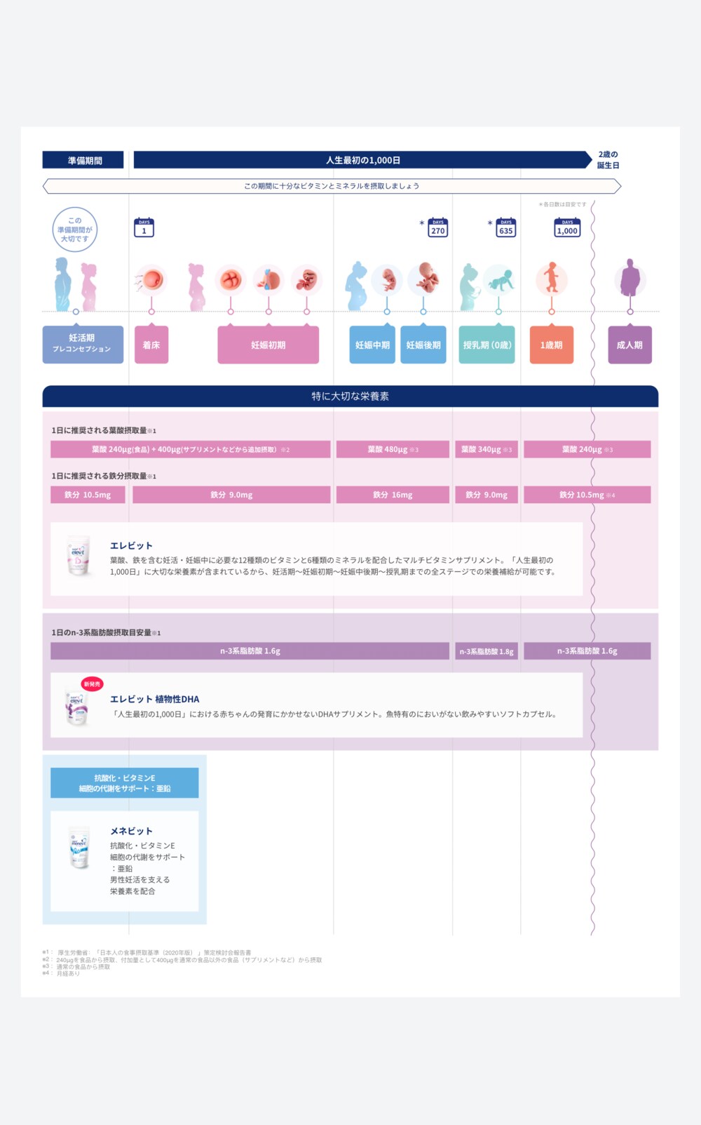 「人生最初の1,000日」全体図