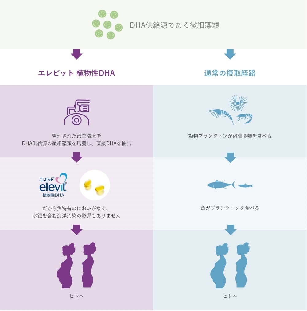 公式】エレビット植物性DHA製品情報|エレビットの葉酸サプリは根拠がある葉酸800μg+|バイエル薬品