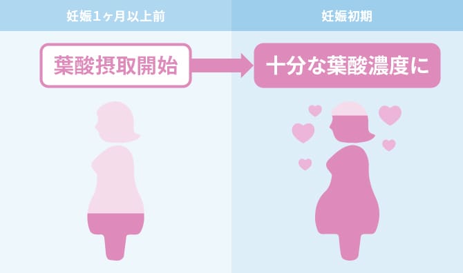 妊婦さんに必要な葉酸のサプリメントはいつまで摂取すればよいか エレビット Elevit バイエル薬品