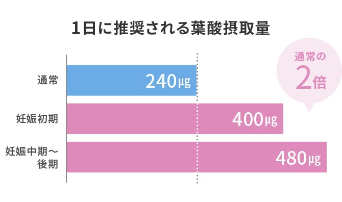 1日に推奨される葉酸摂取量