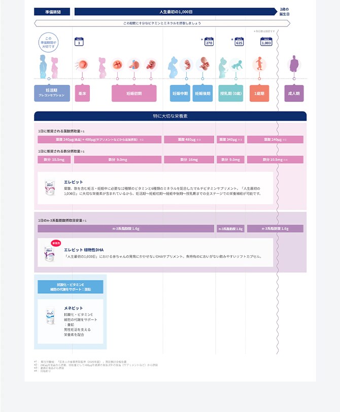 「人生最初の1,000日」全体図