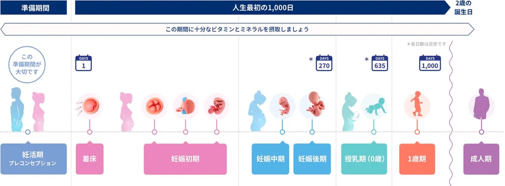 人生最初の1,000日