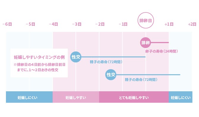 医師監修 排卵日を予測する方法とは オギノ式について エレビットの葉酸サプリは根拠がある葉酸800mg バイエル薬品