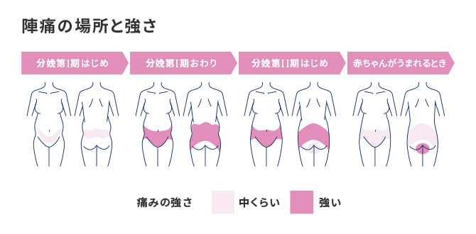 医師監修 陣痛とは 出産時に妊婦さんの体はどうなっている エレビットの葉酸サプリは根拠がある葉酸800mg バイエル薬品