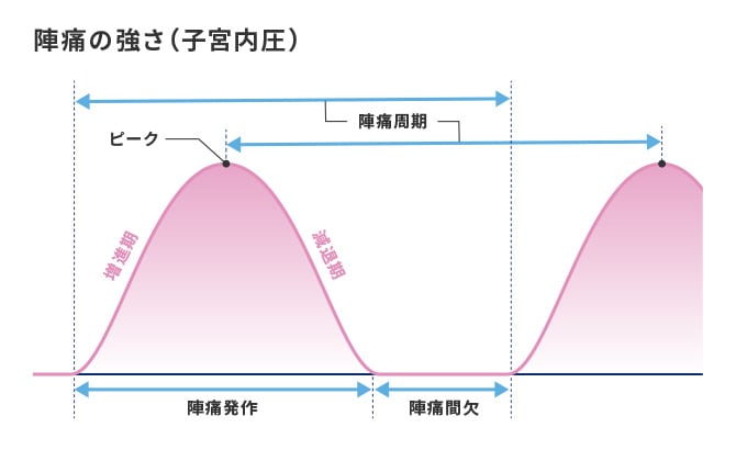医師監修 陣痛とは 出産時に妊婦さんの体はどうなっている エレビットの葉酸サプリは根拠がある葉酸800mg バイエル薬品