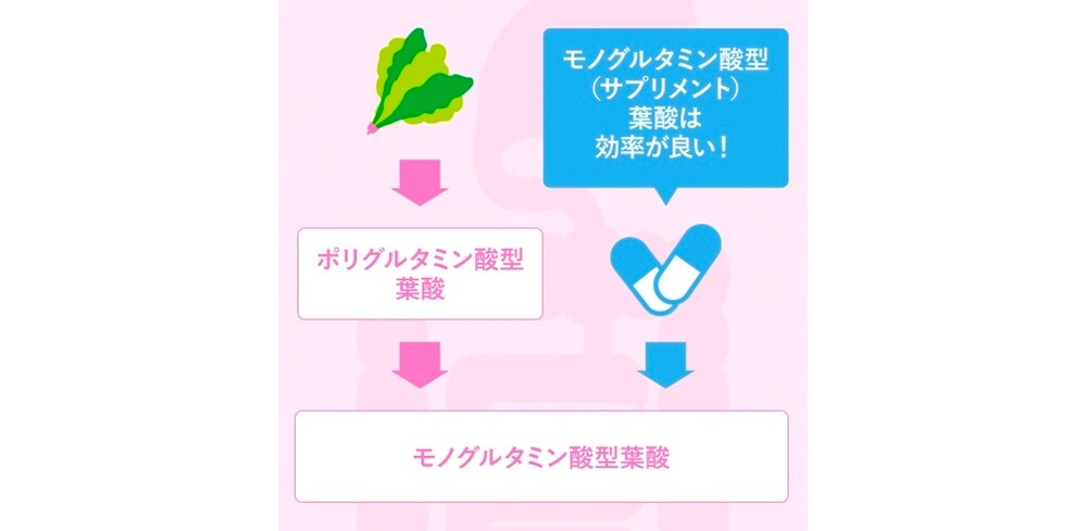 モノグルタミン酸型(サプリメント)葉酸は効率が良い!