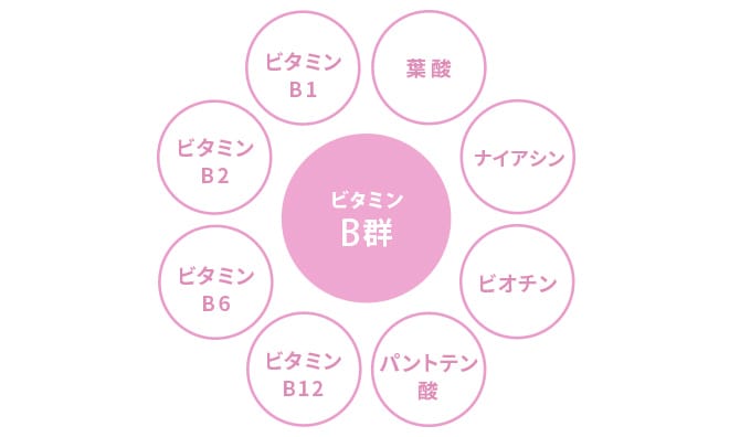 葉酸はビタミンBの仲間なの？