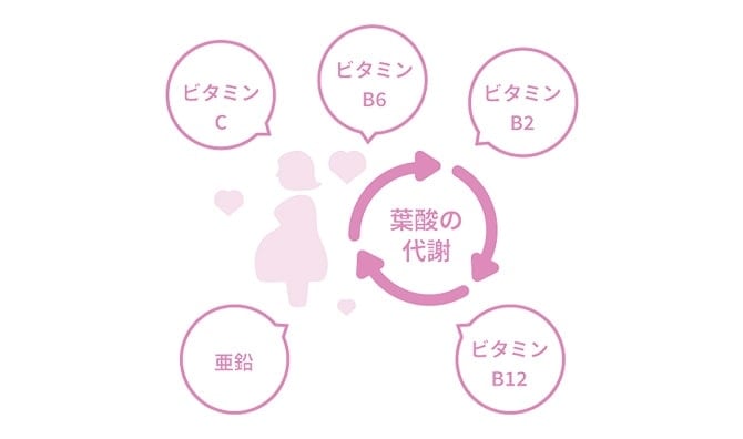葉酸さえ摂っていれば、大丈夫？