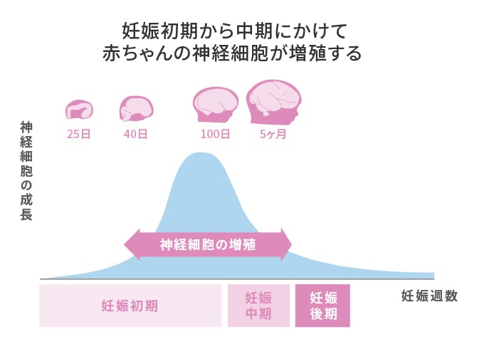 妊娠中に必要だけど実は摂りづらいdha エレビット Elevit バイエル薬品