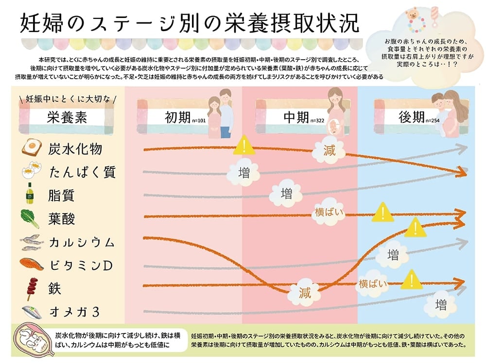 妊婦のステージ別の栄養摂取状況