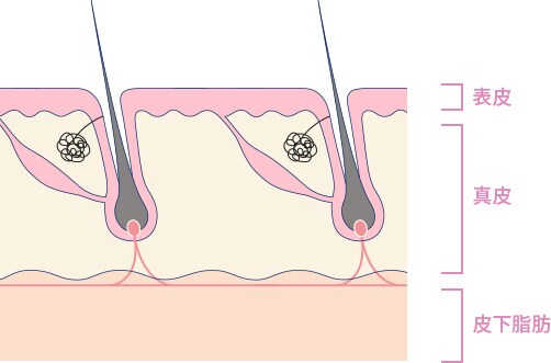 妊娠前のからだづくり 妊娠前からはじめる妊産婦のための食生活指針 ～妊娠前から