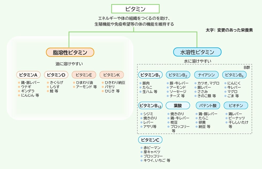 連載第3回前編】日本人の食事摂取基準 2025年版で何が変わった？ ― 脂
