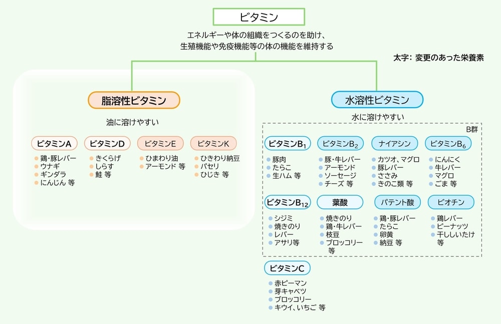 連載第3回前編】日本人の食事摂取基準 2025年版で何が変わった？ ― 脂